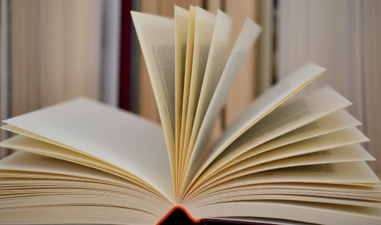 Jaki gatunek literacki wybrać